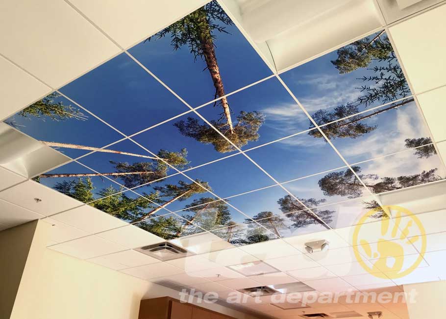 Stacks Image 4479717