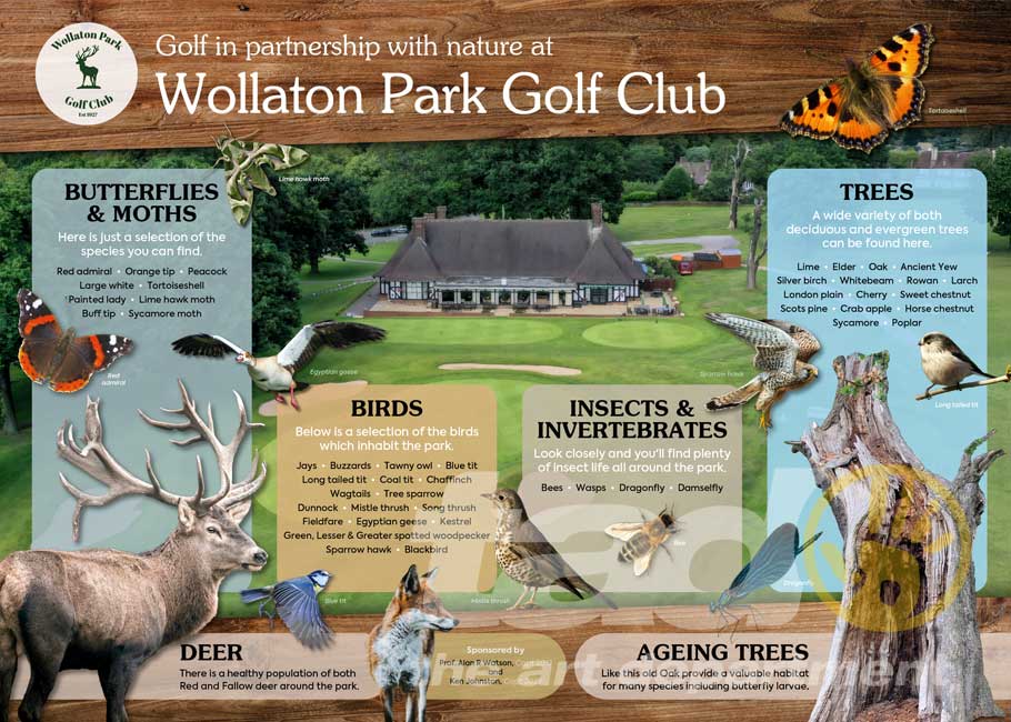 wollaton panel