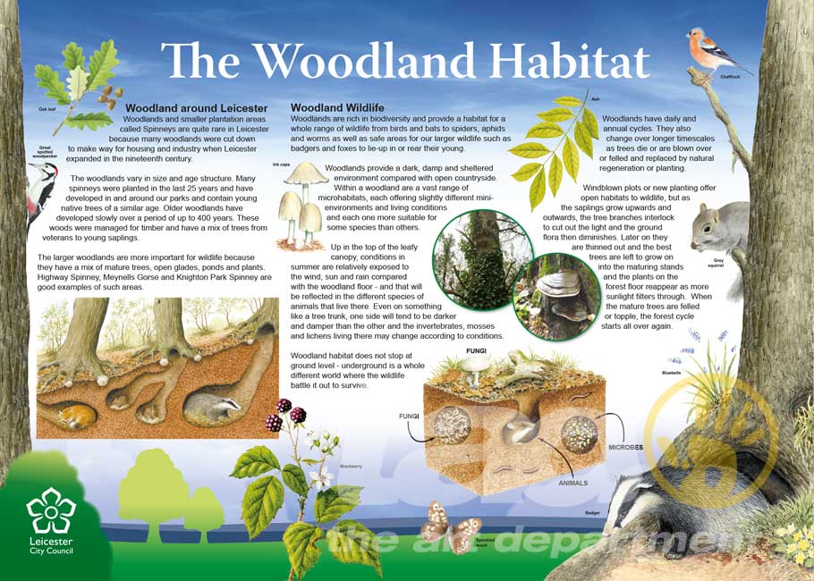 woodland panel