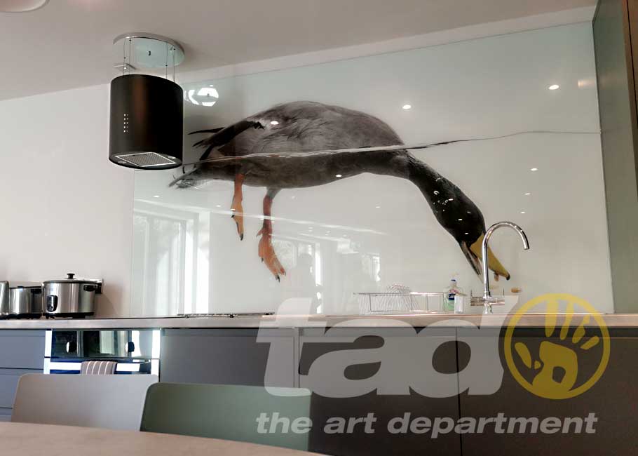 splashback duck