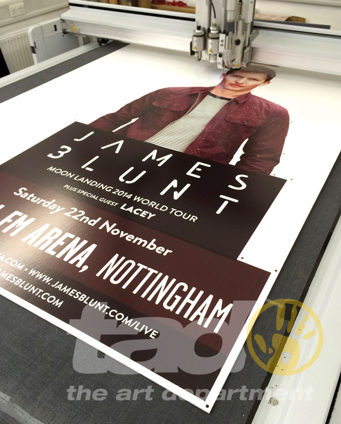 standee james blunt